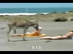 Tirando su maduras tetonas cojiendo sombrero en el pollo y la menta