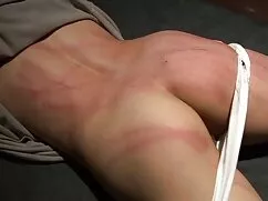 Rojo Perro madura hd un grande polla en su agujeros